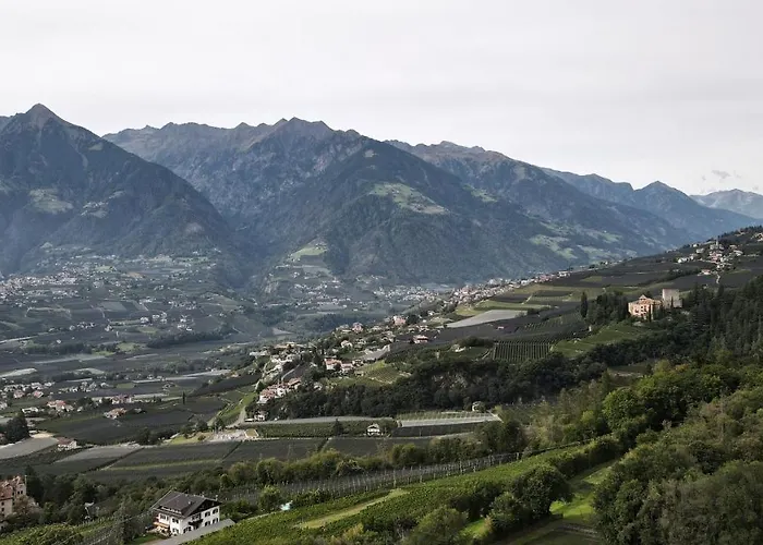 Picea Am Oetzerhof 1 * Meran